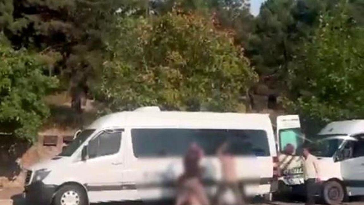 Cadde ortasında dehşet! Demir sopalarla darp ettiler