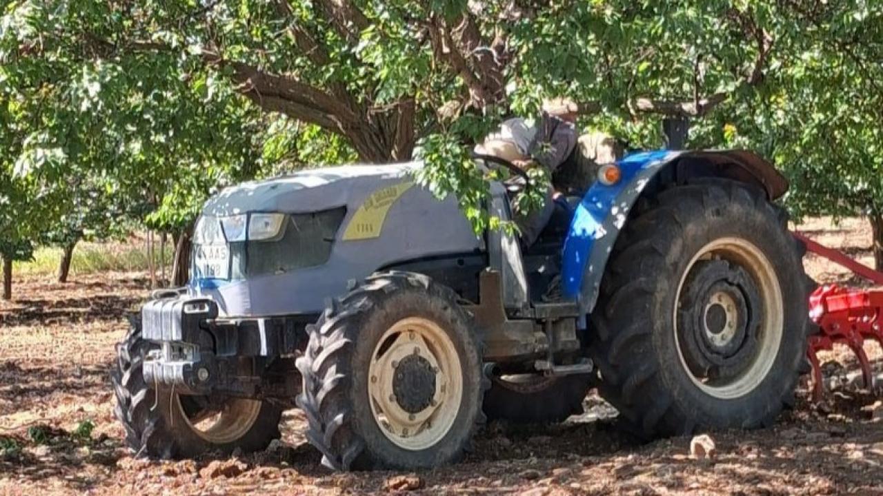 Çiftçinin acı sonu! Kafasına ağaç dalı çarptı, hayatını kaybetti