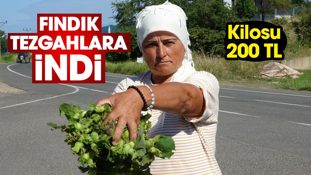 Fındık tezgahlara indi: Kilosu 200 TL
