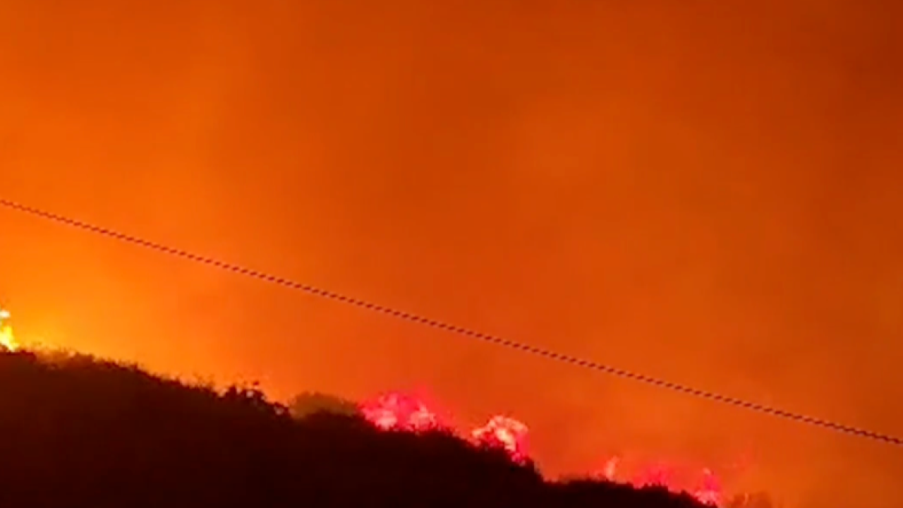 İzmir Dikili'de yangın çıktı