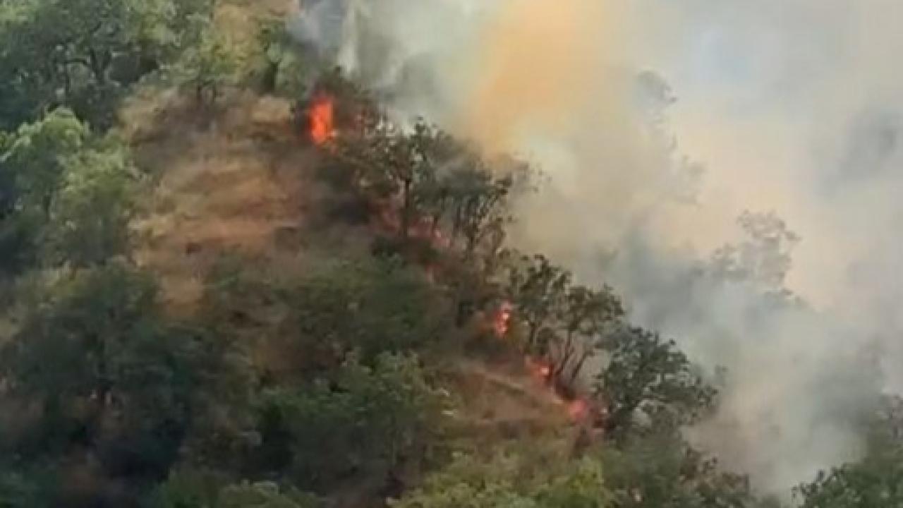 Kastamonu'da orman yangını!