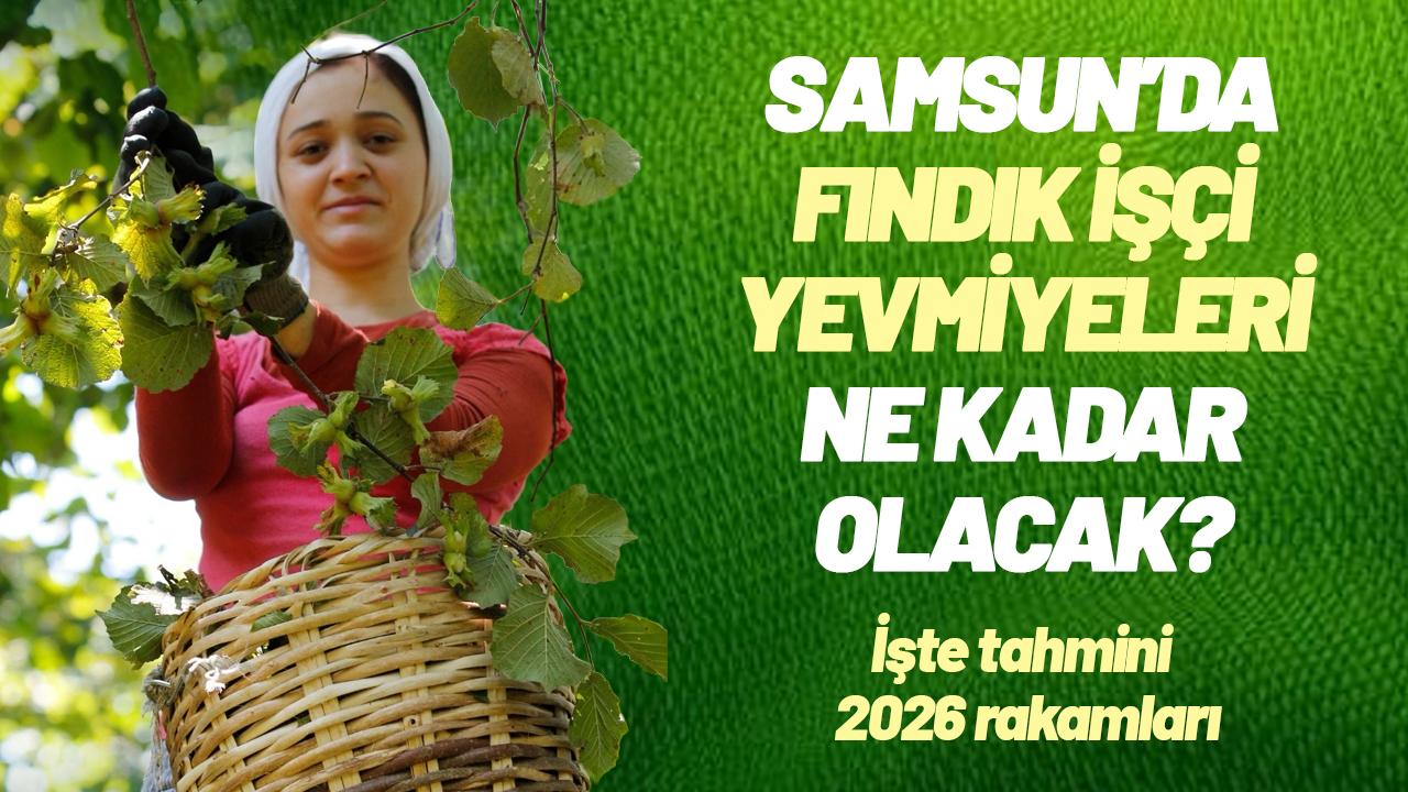 Samsun’da fındık işçi yevmiyeleri ne kadar olacak? İşte tahmini 2026 rakamları!