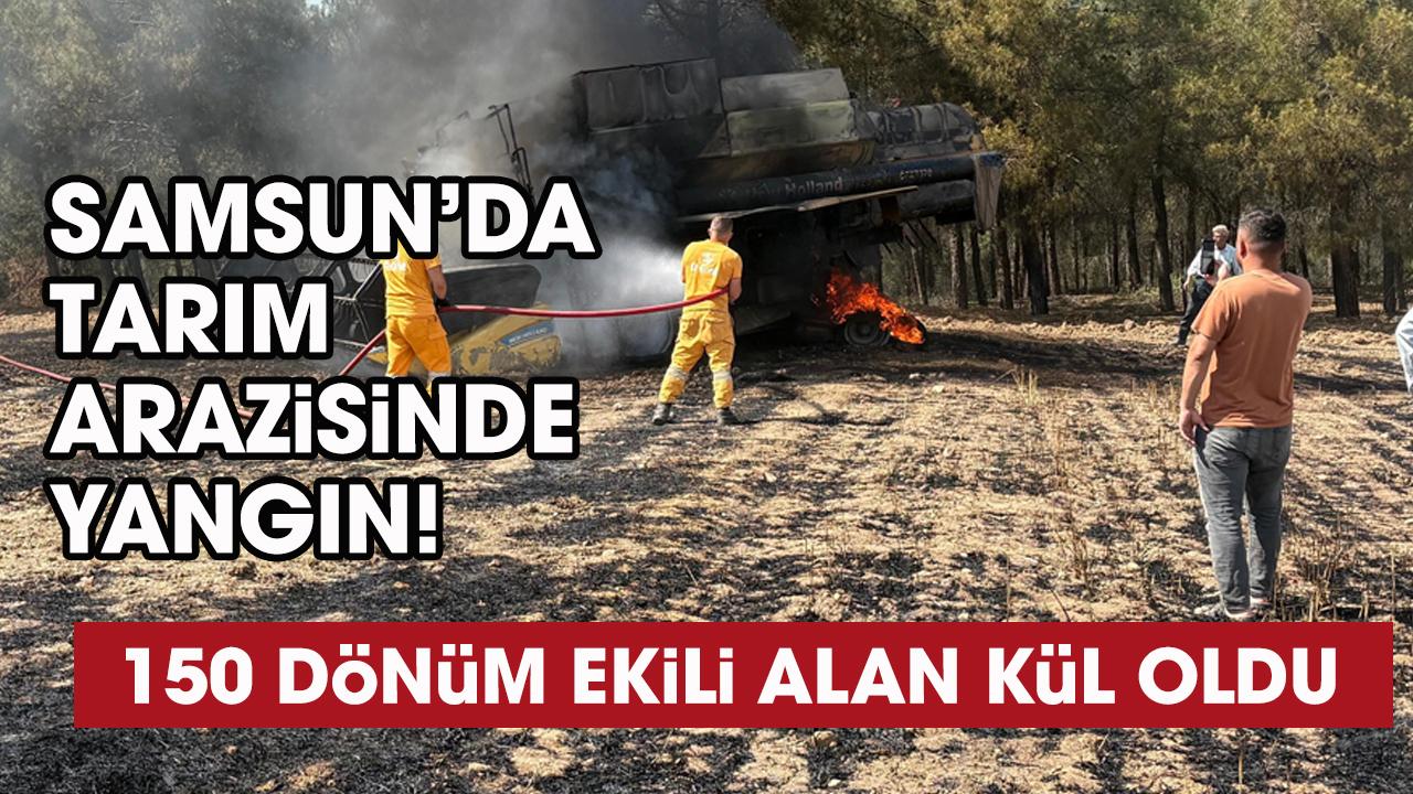 Samsun'da hasat sırasında tarım arazisinde yangın! 150 dönüm ekili alan kül oldu