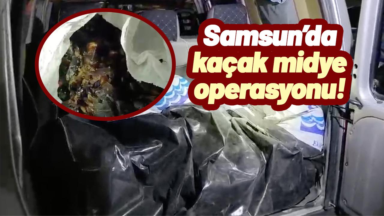 Samsun’da kaçak midye operasyonu: 150 kilogram midye denize geri bırakıldı!