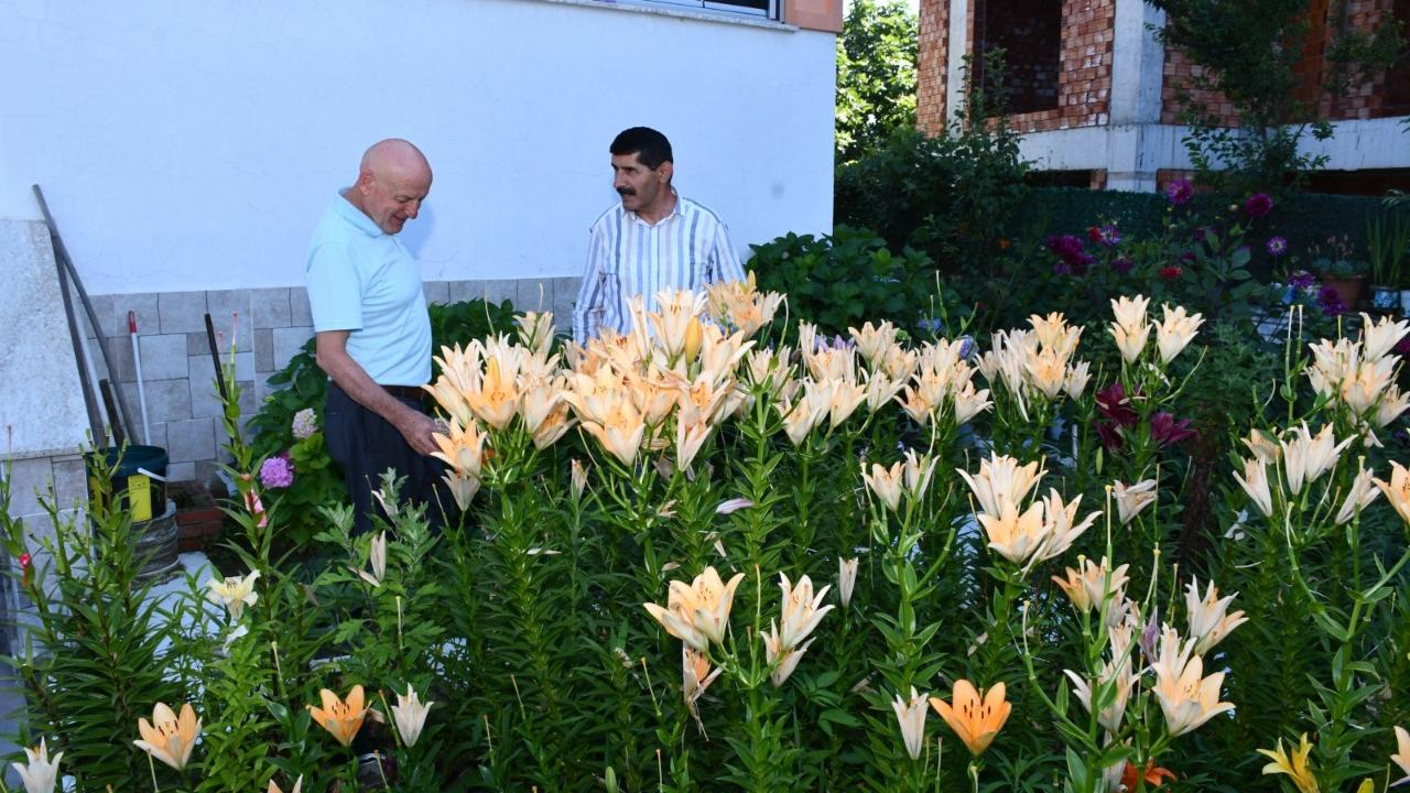Samsun'da mahalleyi açık hava serasına çevirdi