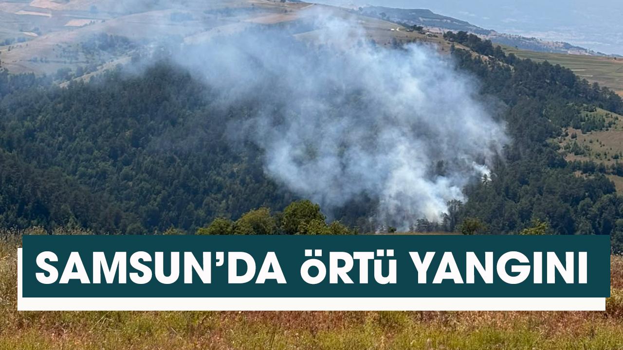 Samsun'da örtü yangını!
