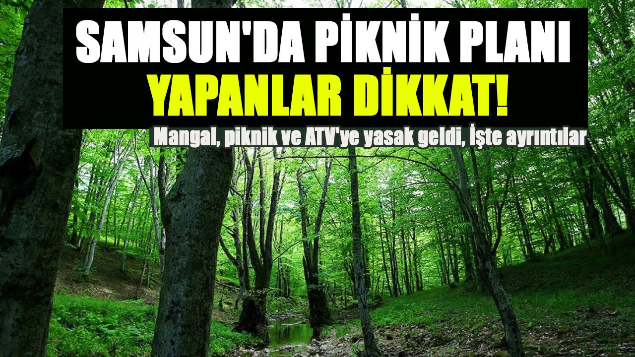 Samsun'da piknik planı yapanlar dikkat! Mangal, piknik ve ATV'ye yasak geldi, İşte ayrıntılar
