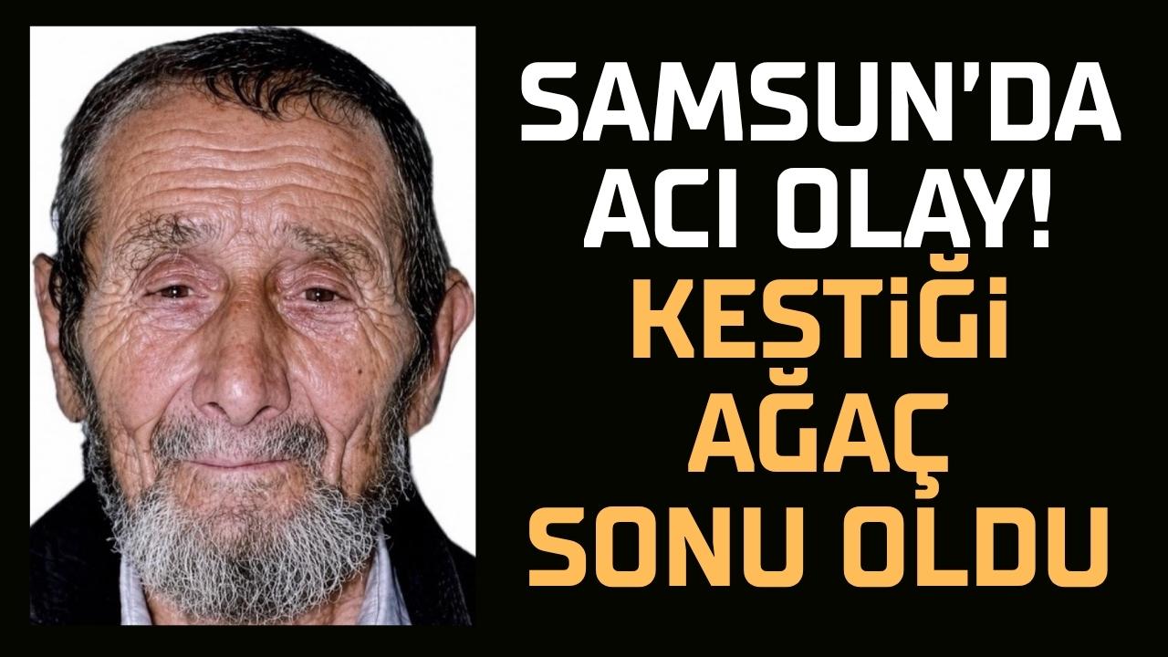 Samsun'da Recep Saliç kestiği ağacın altıda kalarak hayatını kaybetti
