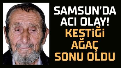 Samsun'da Recep Saliç kestiği ağacın altıda kalarak hayatını kaybetti