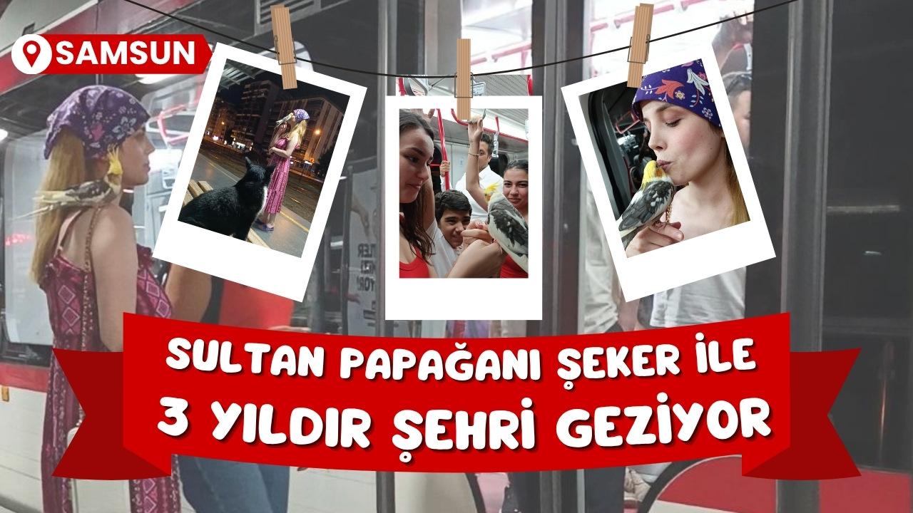 Samsun'da sultan papağanı Şeker ile Semanur Kılıç'ın dostluğu görenleri gülümsetiyor