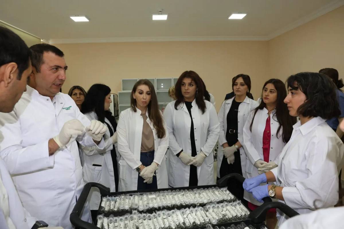 Samsun’dan Azerbaycan’a 20 bin samuray arıcığı