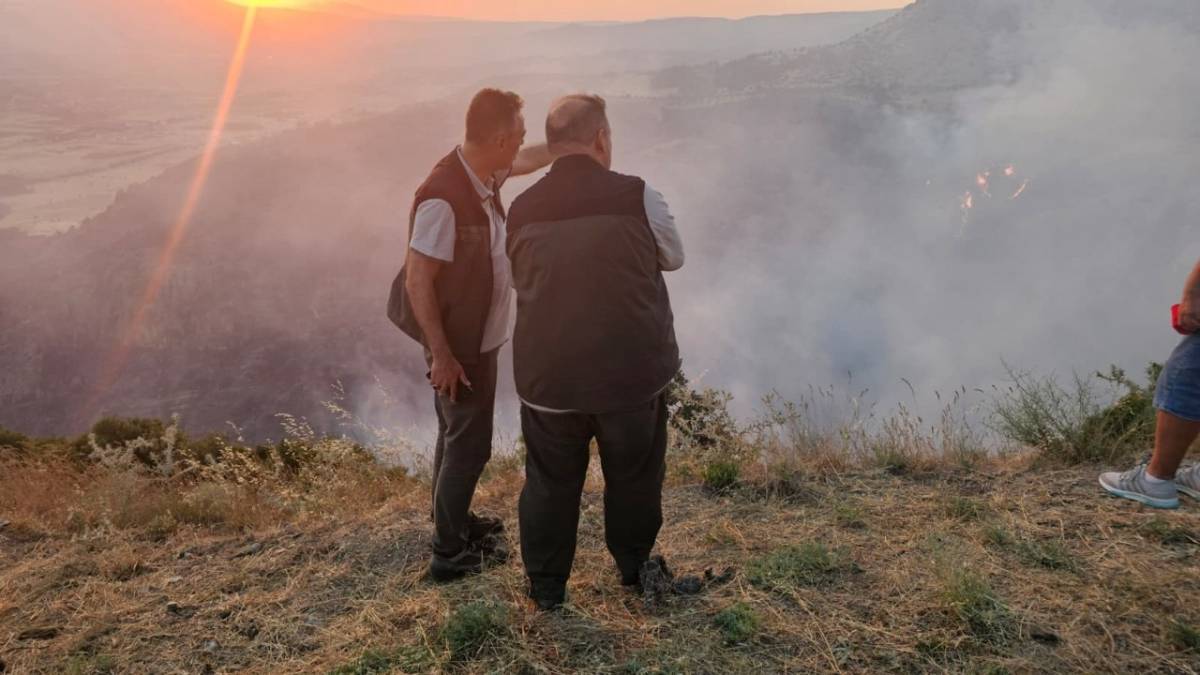 Denizli'de orman yangını