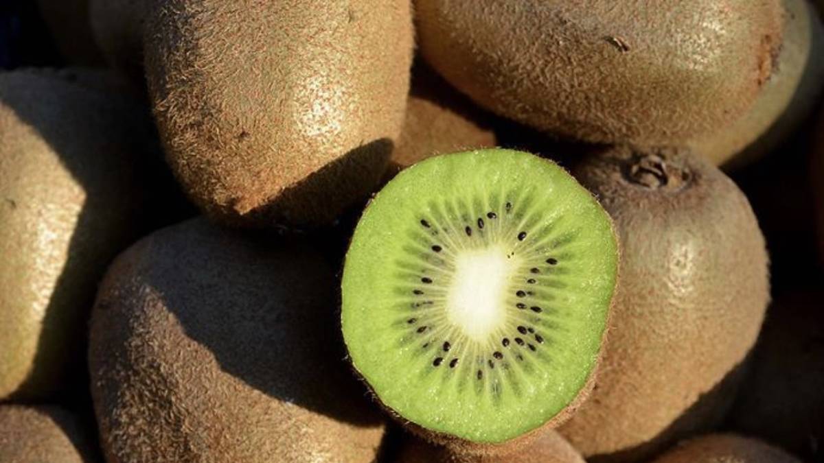 Kabızlığa hangi yiyecekler iyi geliyor? Uzmanlardan dikkat çeken yeni öneriler