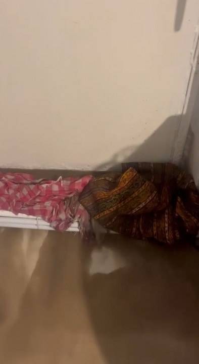 Kars'ta fırtına! Çatılar uçtu, ağaçlar kökünden söküldü