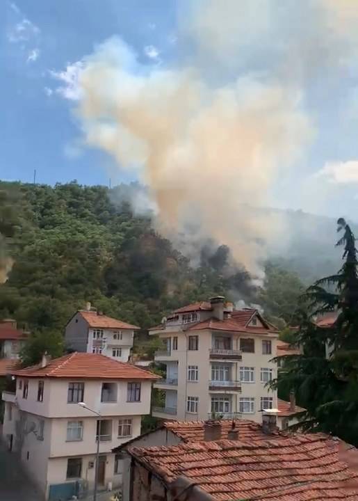 Kastamonu'da orman yangını!