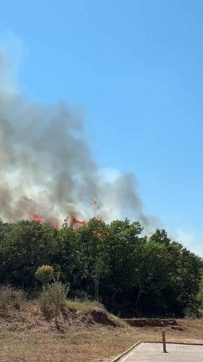 Bursa Kestel'de ormanında yangın çıktı