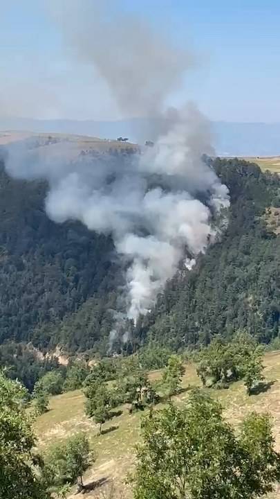 Samsun'da ormanlık alanda yangın! 15 dönüm alan zarar gördü